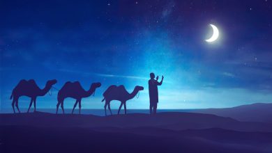 Night-Desert