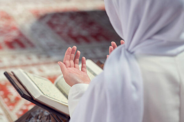 Mawlana-Hamida-Parvin