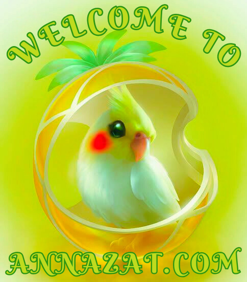 Welcome Message